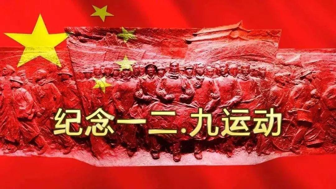 呆萌动物园