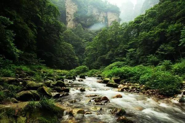 美丽大城市拼图